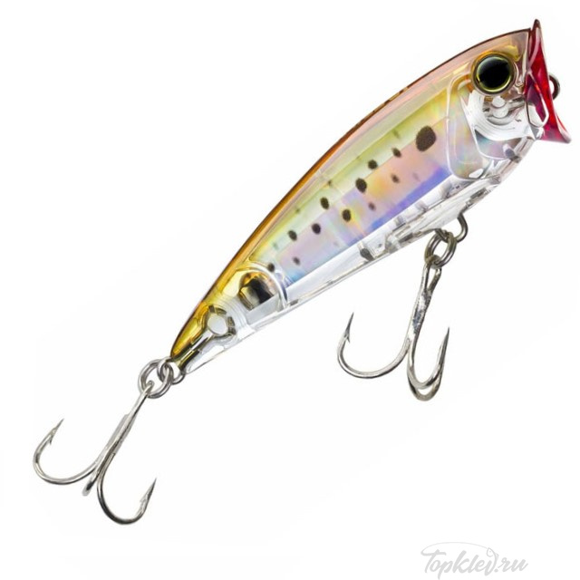 Воблер Yo-Zuri 3D Inshore Popper 120 F R1412 #HPBK