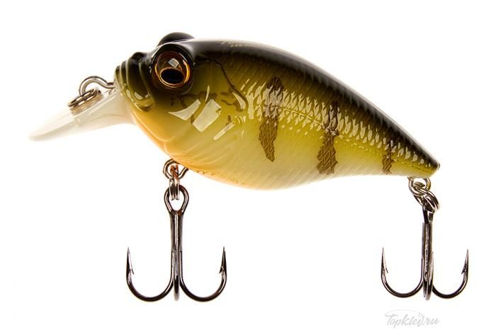 Воблер Megabass SR-X Griffon #Boneknocker Bone Perch OB