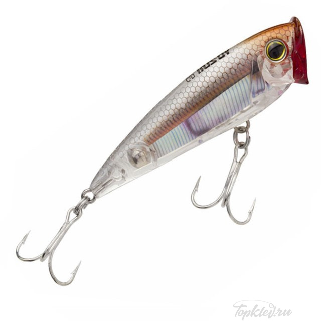 Воблер Yo-Zuri 3D Inshore Popper 120 F R1412 #RGLM