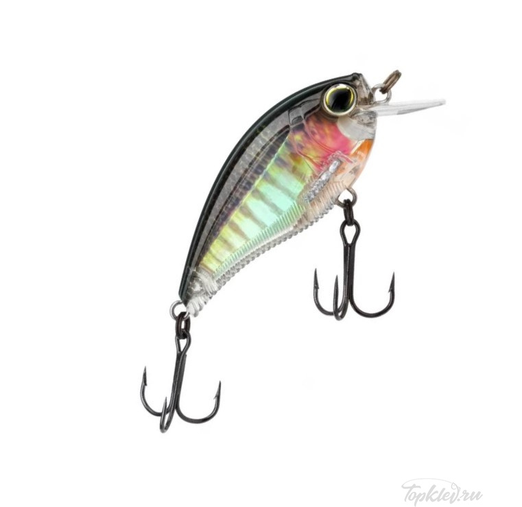 Воблер Yo-Zuri R1352-RBG 3DB CRANK 1.5 Squarebill 60F
