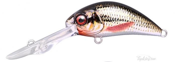 Воблер Spro "IKIRU CHR BB CRANK-DD FL ROACH"