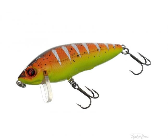 Воблер Flagman Astell 65F top water color 480