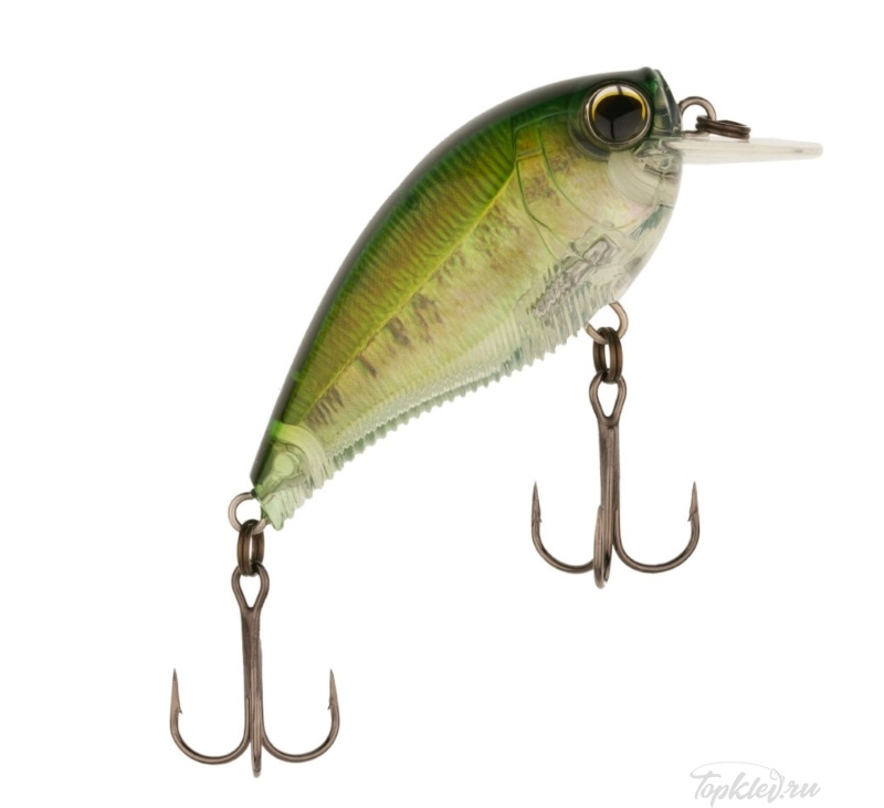 Воблер Yo-Zuri R1352-RBB 3DB CRANK 1.5 Squarebill 60F Воблер Yo-Zuri R1352-RBB 3DB CRANK 1.5 Squarebill 60F