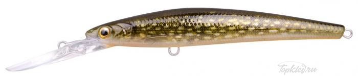 Воблер Spro "IKIRU DD 120 SSP PIKE"