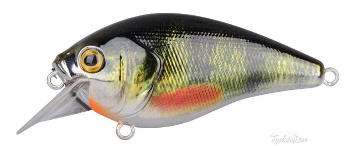 Воблер Spro "IKIRU CHROME CRANK-SL SFL G-PERCH"