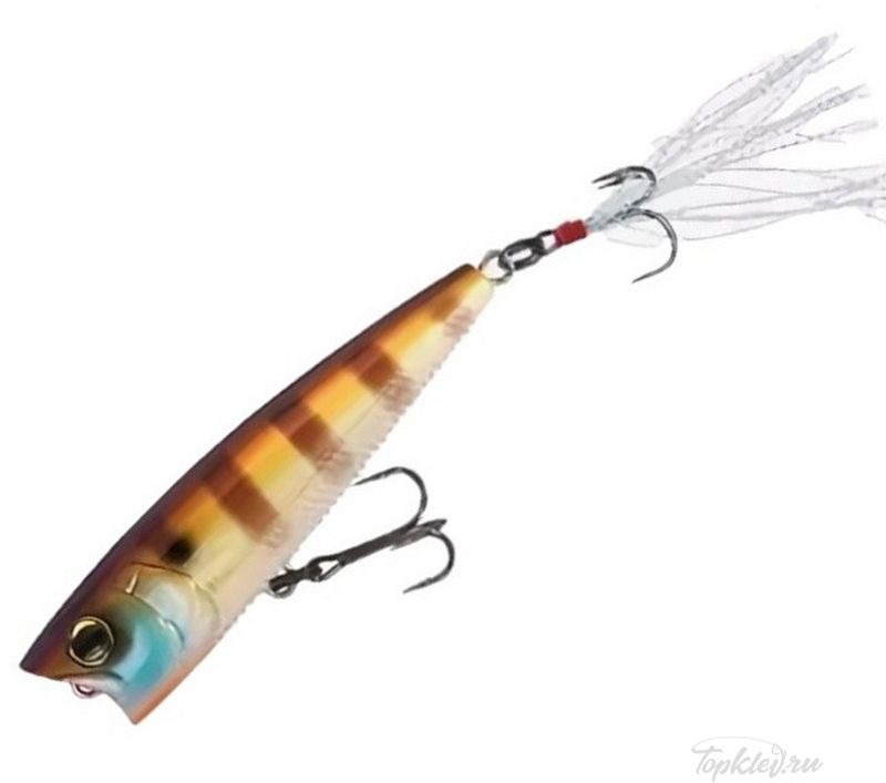 Воблер Yo-Zuri R1101-BG 3DB POPPER 75F