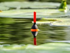 Поплавочная ловля