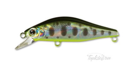 Воблер Daiwa WISE MINNOW 50FS / OL CB Yamame (04812425)