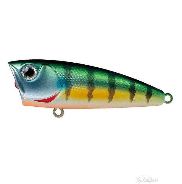 Воблер Daiwa STEEZ POPPER 70F / MATT GILL (07431211)