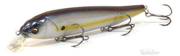 Воблер Megabass LATES (RATTLE IN) / Megabass Sexy Shad