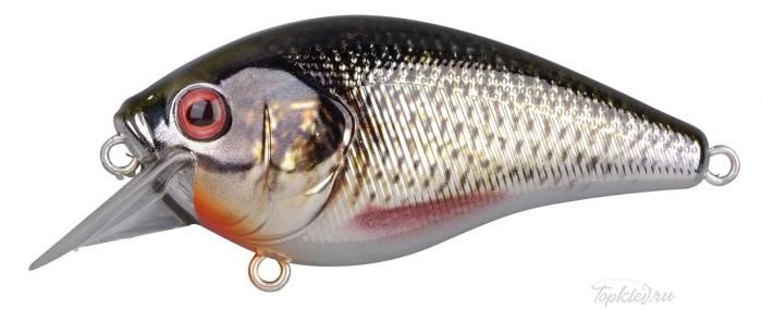 Воблер Spro "IKIRU CHROME CRANK-SL SFL ROACH"