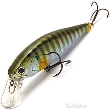 Воблер Lucky Craft Pointer 100SP 149 Baby BG