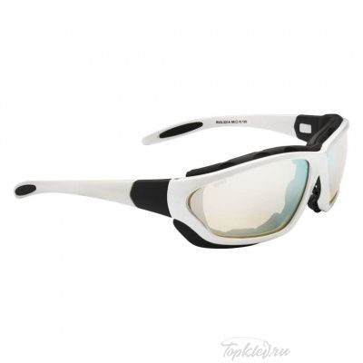 Очки зимние Rapala Ice Man Mirror RVG-221A
