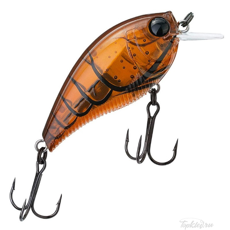 Воблер Yo-Zuri R1352-BCF 3DB CRANK 1.5 Squarebill 60 F