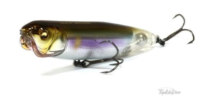 Воблер Megabass NEW DOG-X QUICK WALKER / Wagin Setsuki Ayu ST Воблер Megabass NEW DOG-X QUICK WALKER / Wagin Setsuki Ayu ST
