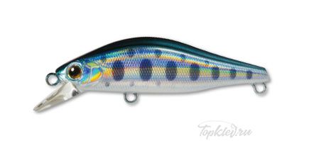 Воблер Daiwa WISE MINNOW 50FS / Sakechigyo (04812426)