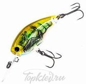 Воблер Yo-Zuri R1317-RGCF 3DR MID CRANK 50F