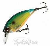 Воблер Yo-Zuri R1105-PPT 3DB SQUARELIP SHALLOW 70F