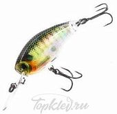 Воблер Yo-Zuri R1317-RBG 3DR MID CRANK 50F
