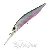 Воблер DUO Realis Jerkbait 100DR 100м 15.6гр #CCC3254
