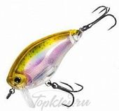 Воблер Yo-Zuri R1313-RRT 3DR WAKE BAIT 50F