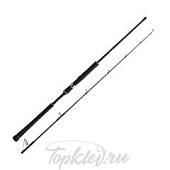 Удилище спиннинговое Shimano OCEA JIGGER QJ S58-6 Jig