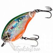 Воблер Yo-Zuri F1138-HTS 3DS CRANK SSR 50F