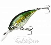 Воблер Yo-Zuri R1106-PBB 3DB MID CRANK 70F