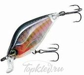 Воблер Yo-Zuri R1320-RBG 3DR FLAT CRANK 55F