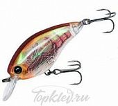 Воблер Yo-Zuri R1315-RBCF 3DR SHALLOW CRANK 50F