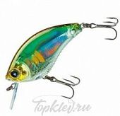 Воблер Yo-Zuri R1105-PAY 3DB SQUARELIP SHALLOW 70F