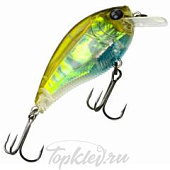 Воблер Yo-Zuri R1352-RGCF 3DB CRANK 1.5 Squarebill 60F