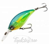 Воблер Yo-Zuri R1106-PCLL 3DB MID CRANK 70F