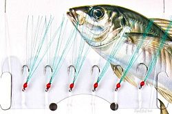 Сабики, самодуры Сабики, самодуры