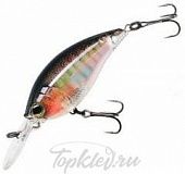 Воблер Yo-Zuri R1318-RBG 3DR MID CRANK 70F