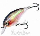 Воблер Yo-Zuri R1315-RBG 3DR SHALLOW CRANK 50F