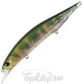 Воблер DUO Realis Jerkbait 110SP 110мм 16.2гр #DTA3345