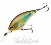 Воблер Yo-Zuri R1106-PAY 3DB MID CRANK 70F