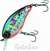 Воблер Yo-Zuri F1140-HTS 3DS CRANK MR 50F