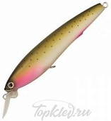 Воблер Yo-Zuri R725-NWRT 3D MINNOW 100SP